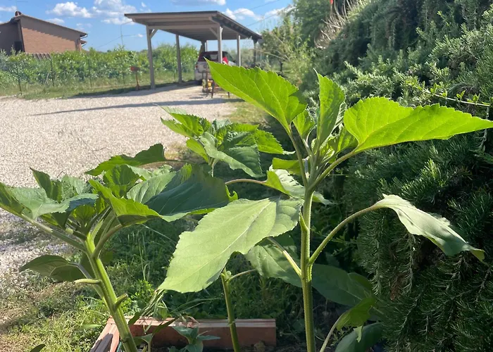 Casa Roda Umbria 1Km Da Toscana