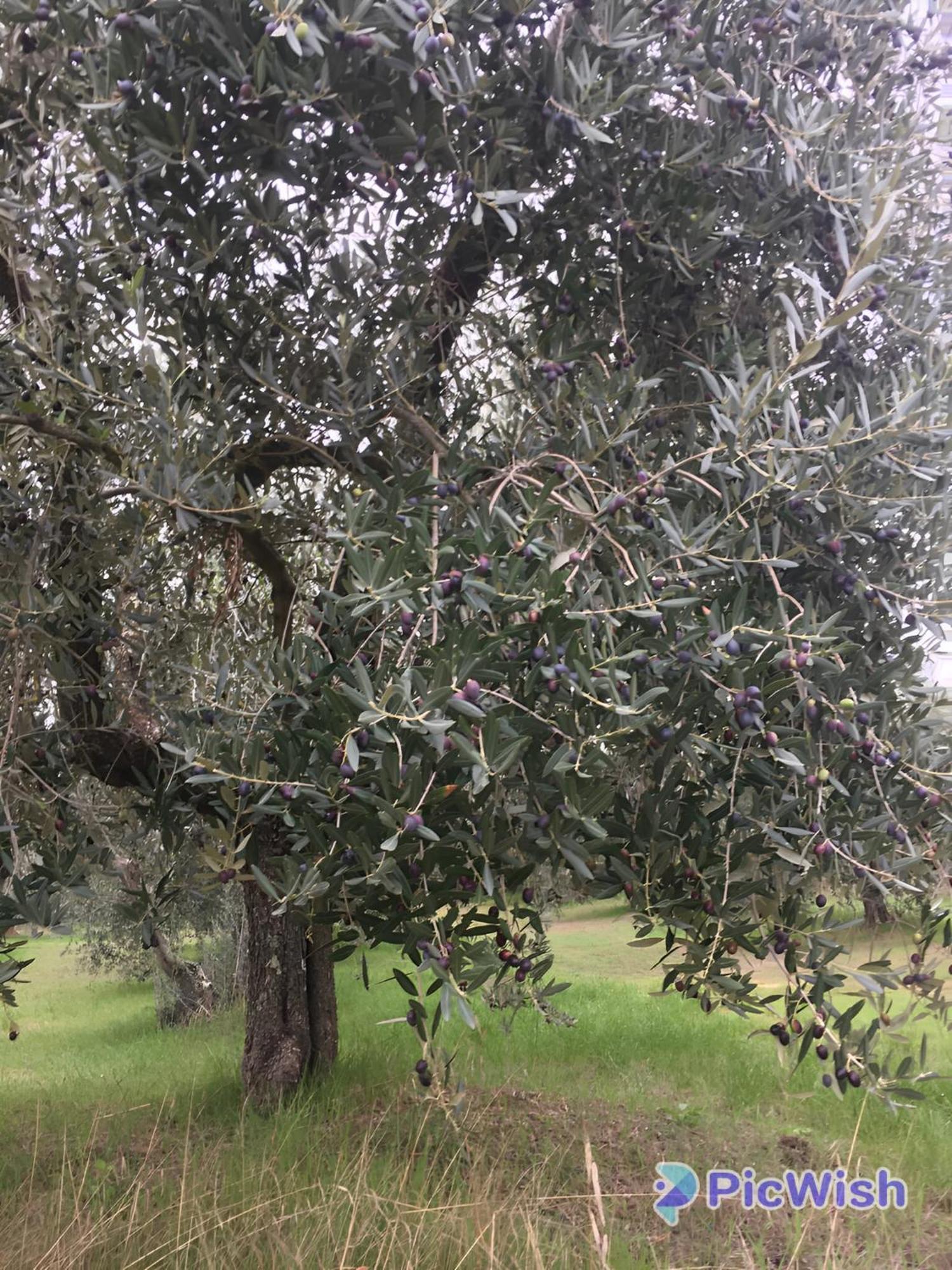 Casa Roda Umbria 1km Da Toscana Holiday home *